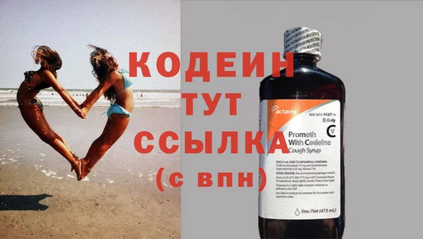 индика Наволоки
