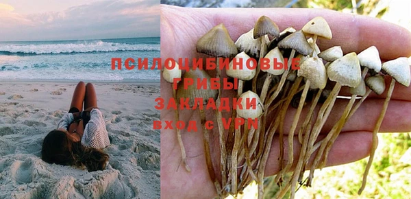 шишки Навашино