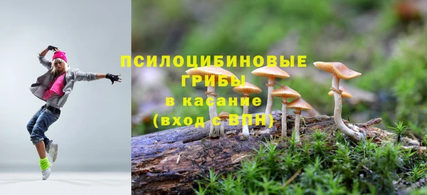 индика Наволоки