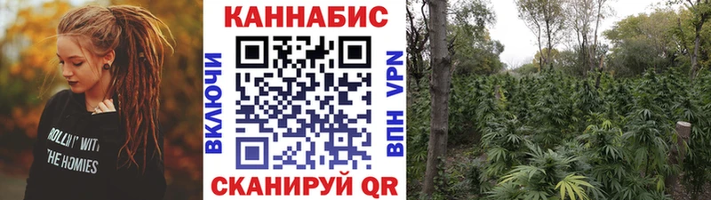 Шишки марихуана сатива  Ликино-Дулёво 